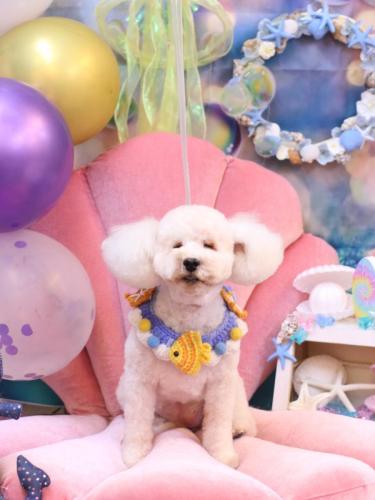 20240824あんちゃん